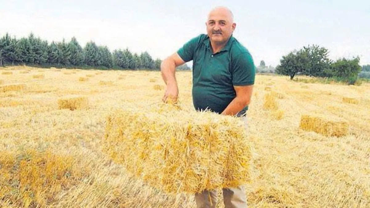 Bizi ayakta tutan vatan aşkı