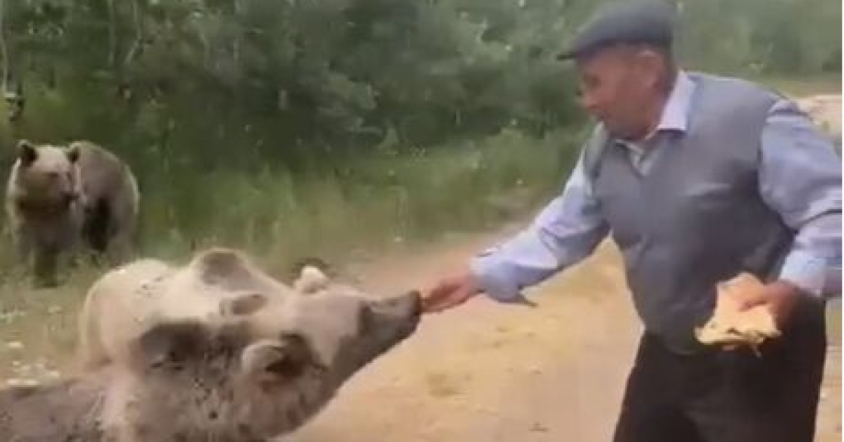 Bozayıya kedi muamelesi! Elleriyle pide verdi...