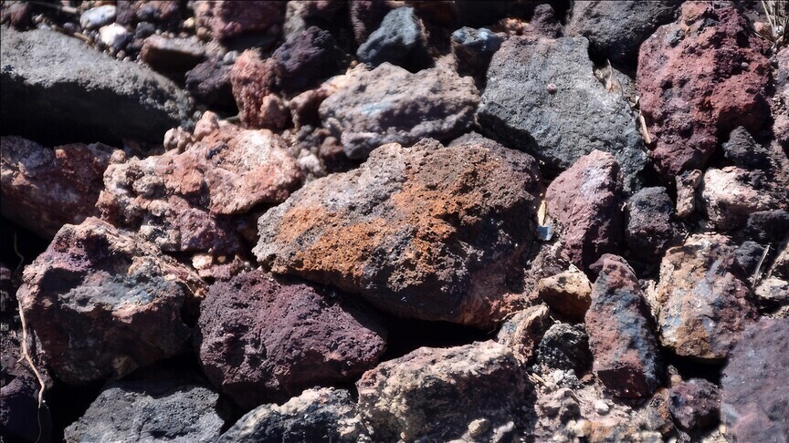 ABD ile Litvanya, Kritik Mineraller Çerçeve Anlaşması imzaladı
