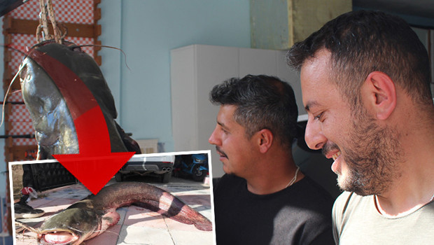 3 arkadaş gözlerine inanamadı! Sivas'taki nehirde tuttular: Tam 190 santim uzunluğunda
