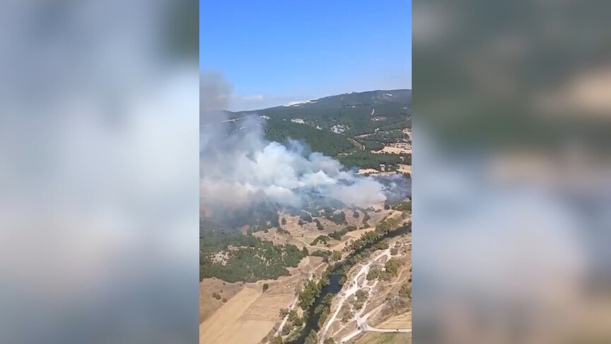Balıkesir'de orman yangını kontrol altına alındı
