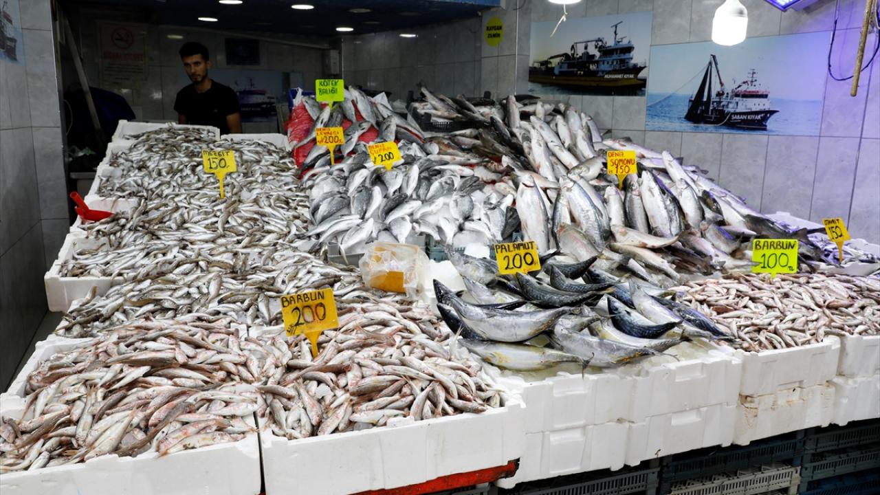 İstanbul'da balık tezgahlarına bolluk geldi