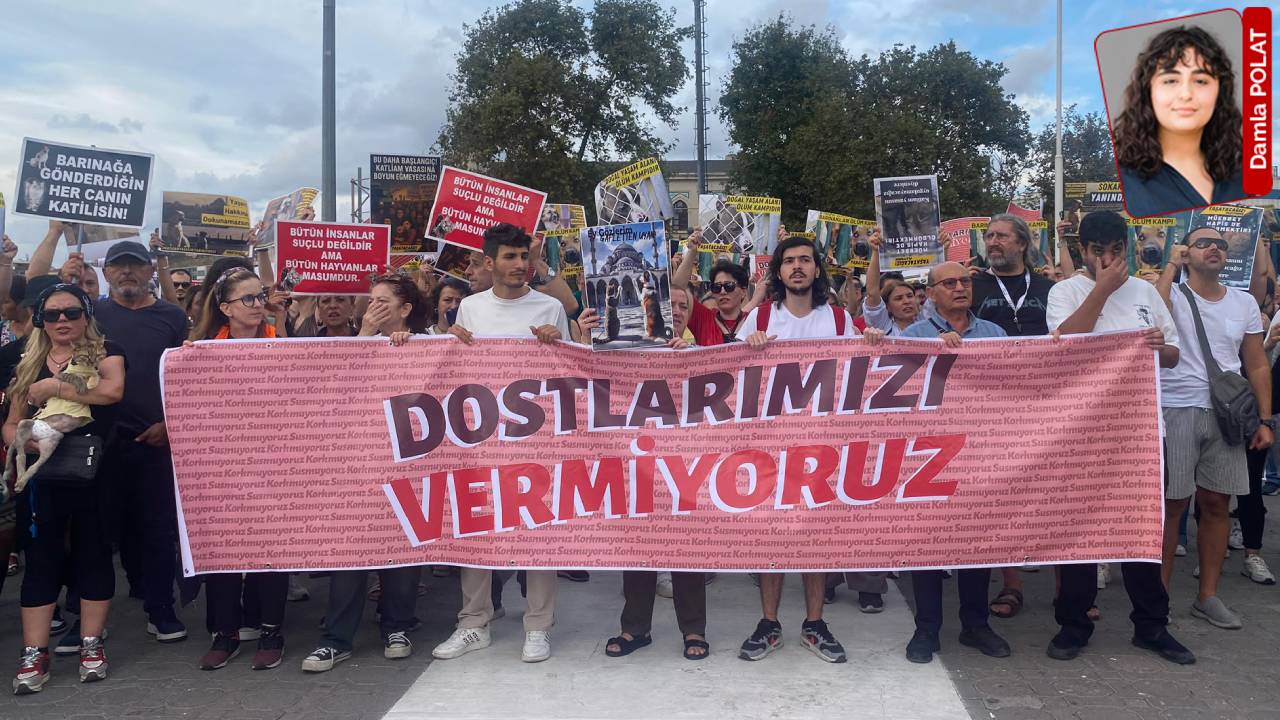Sokakta yasak, barınakta ihmal, adalette sessizlik: Baskı ve cezasızlık arasında bir ay