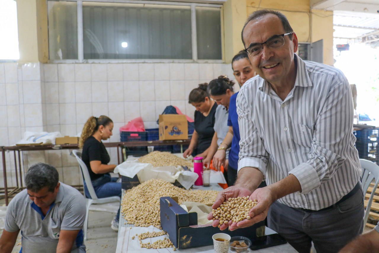 Gazipaşa'da nohut hasadı tamamlandı