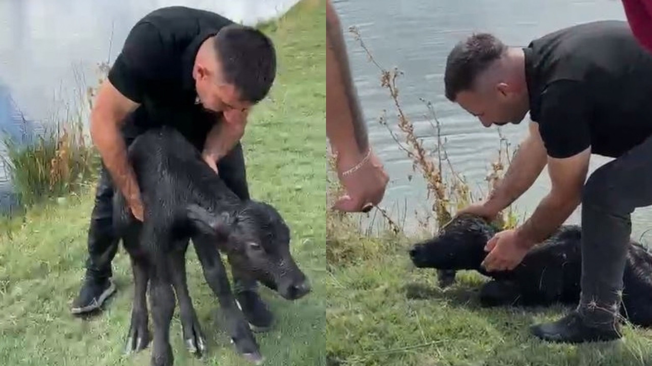 Devriye gezen belediye personeli suda çırpınan yavruyu son anda kurtardı