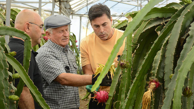At yarış pistinde beklenmedik bir destek göstererek sonuçları etkiledi