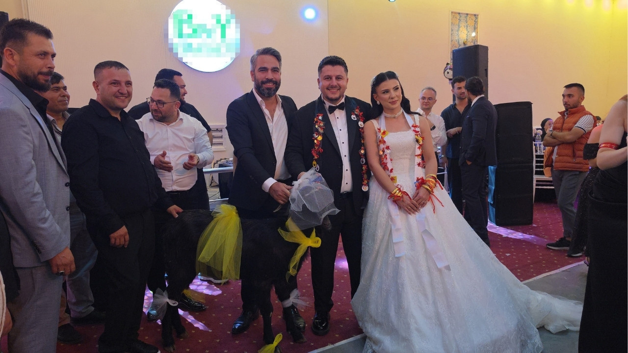 'Yedikçe beni hatırlarsın' dedi, gelin ve damata telli duvaklı keçi hediye etti!