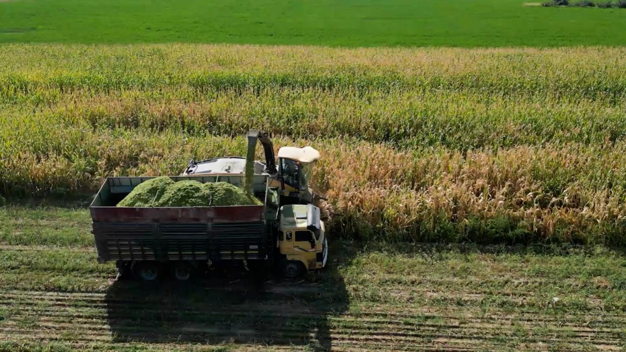 Tarım ve gıda yatırımlarına 10 milyon dolara kadar finansman desteği