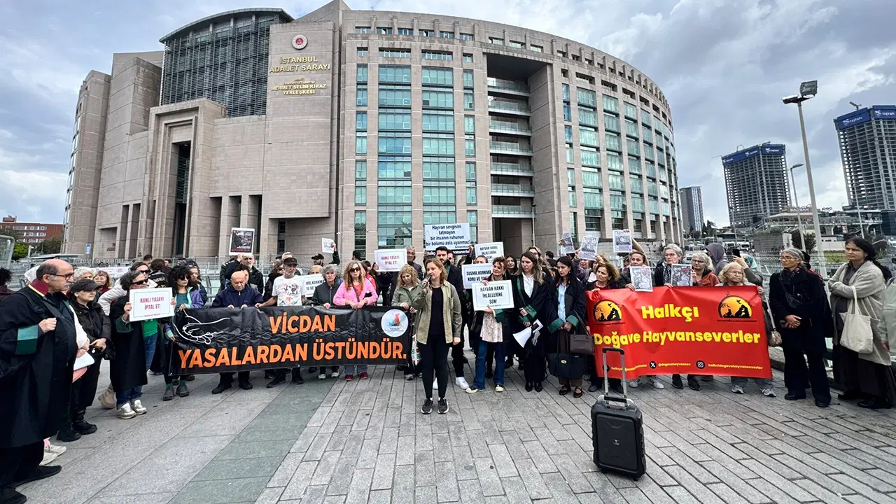 Hayvan hakları savunucularından 'adalet' çağrısı: 75 imzayla Cenevre'ye başvuru!