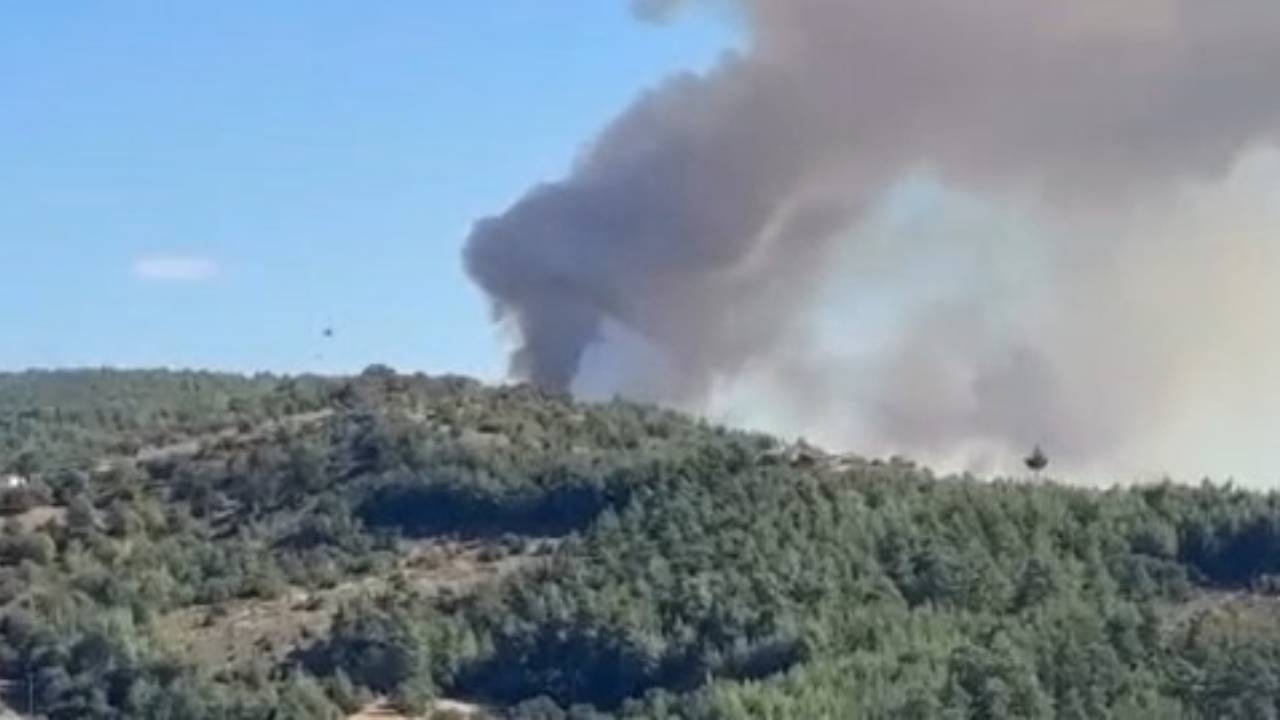 Bursa'da orman yangını: Ekipler müdahale ediyor