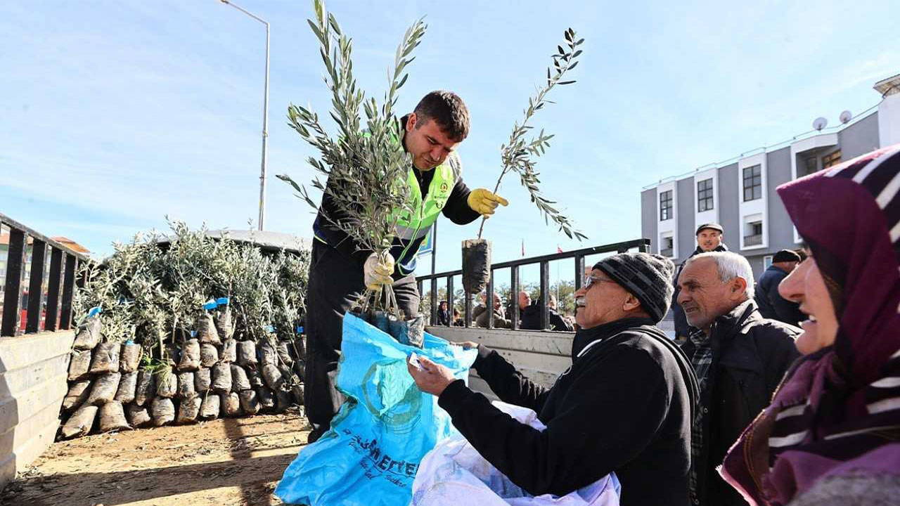 Denizli Büyükşehir’den çiftçilere fidan desteği