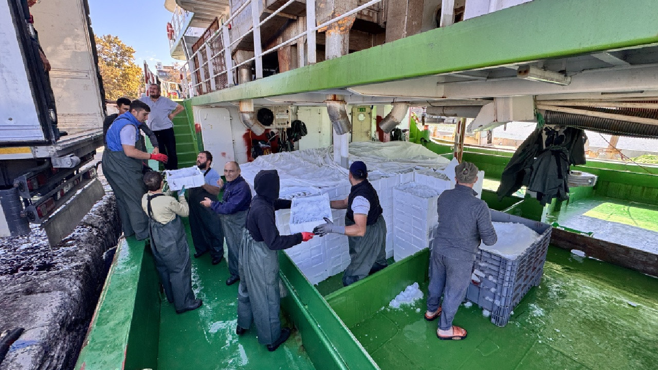 Rüzgar durdu ağlar doldu: Kasa kasa yüklediler İstanbul'a gönderdiler