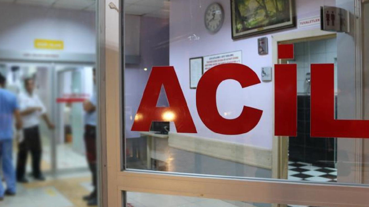 Ceviz toplamak isterken canından gerçekleşti