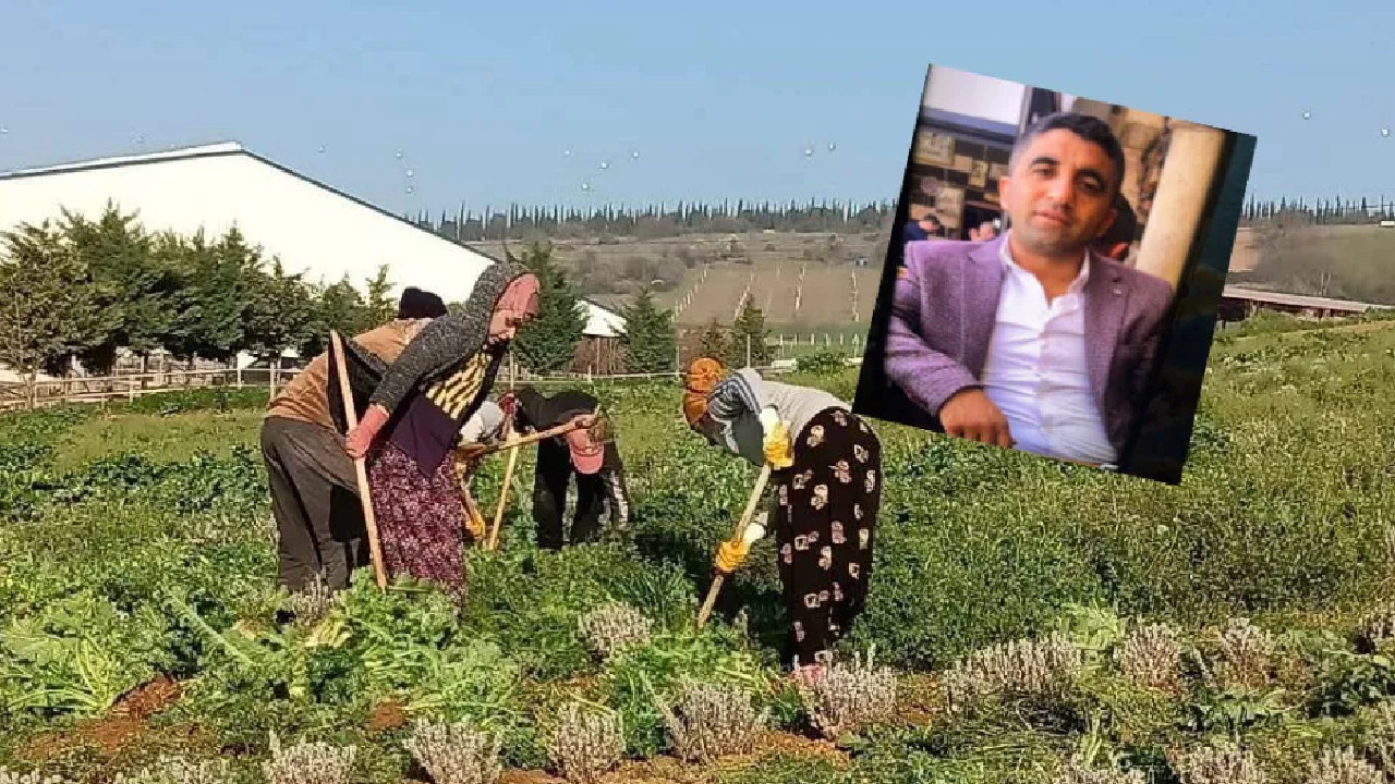 Mevsimlik tarım işçilerinin çilesi bitmiyor: 500 bin TL alacakları için bakanlığa çağrı