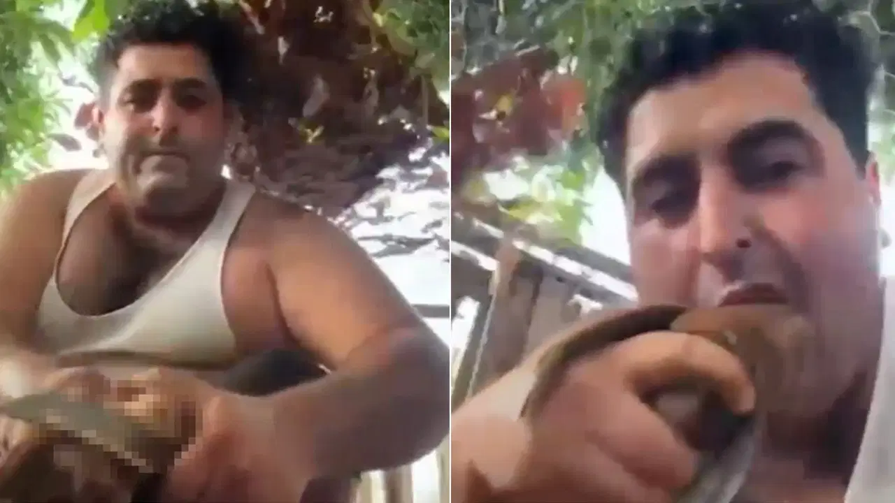 Alanya’da kuşlara işkence ettiği görüntüleri paylaşmıştı: Tutuklandı