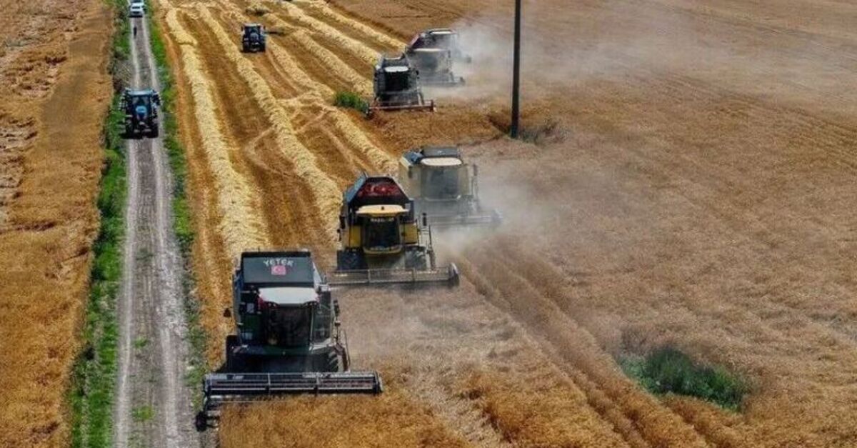 TİGEM 2 bin 116 ton mahsul buğday satacak