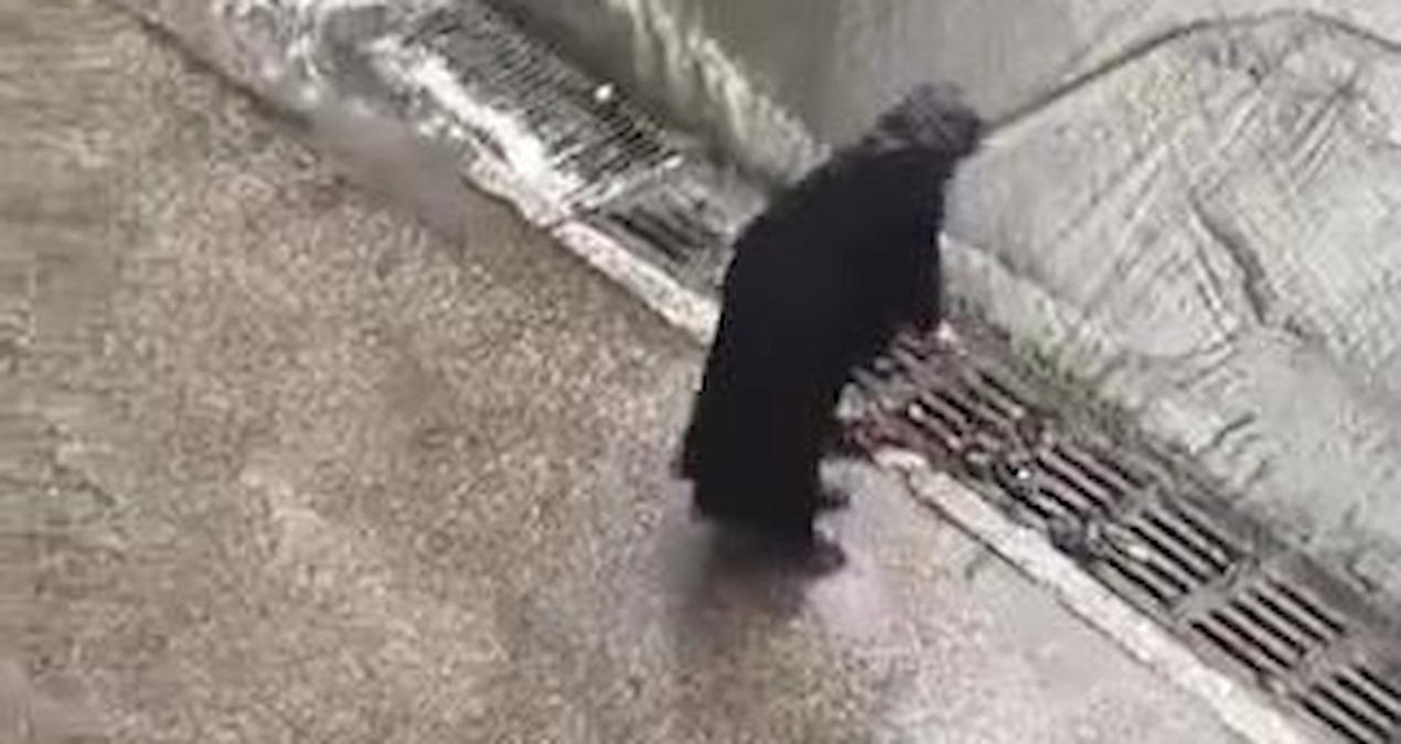 İstanbul’da paylaşılan çarpıcı görüntü sosyal medyada büyük yankı uyandırdı