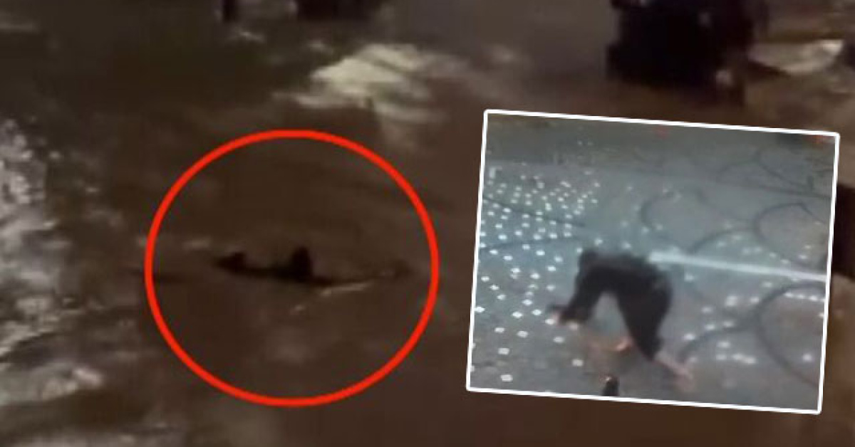 İstanbul afeti yaşadı... Metrekareye 242 kg yağış! Can kayıplarımız var
